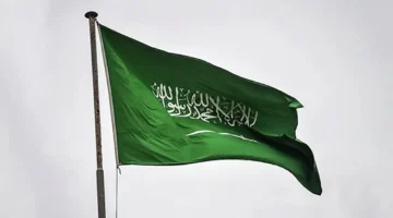 المملكة ترعى القضية الفلسطينية وتوجد زخمًا دبلوماسيًا يعزل إسرائيل عالميًا